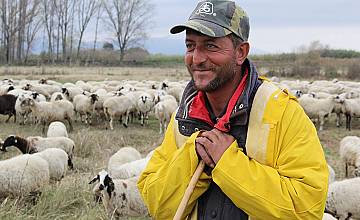 Дигиталният овчар Чобан Тома в два поредни епизода на „Карбовски: Втори план“ по bTV