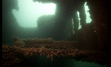 Колко са потъналите кораби по дъното на Черно море разкрива „Темата на Nova“