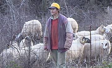 „Емигранти”: Когато бях овчарче... купих компютър на децата си, петък, 16 април